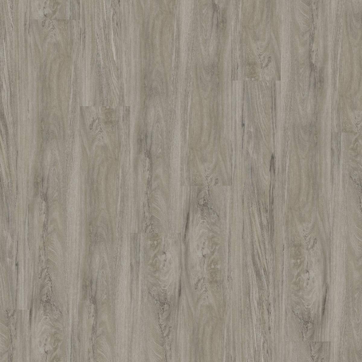 Vinylboden DESIGN 555 Dryback 1219 x 177 x 2.5 mm Klebevinyl Holzoptik Grau NKL42