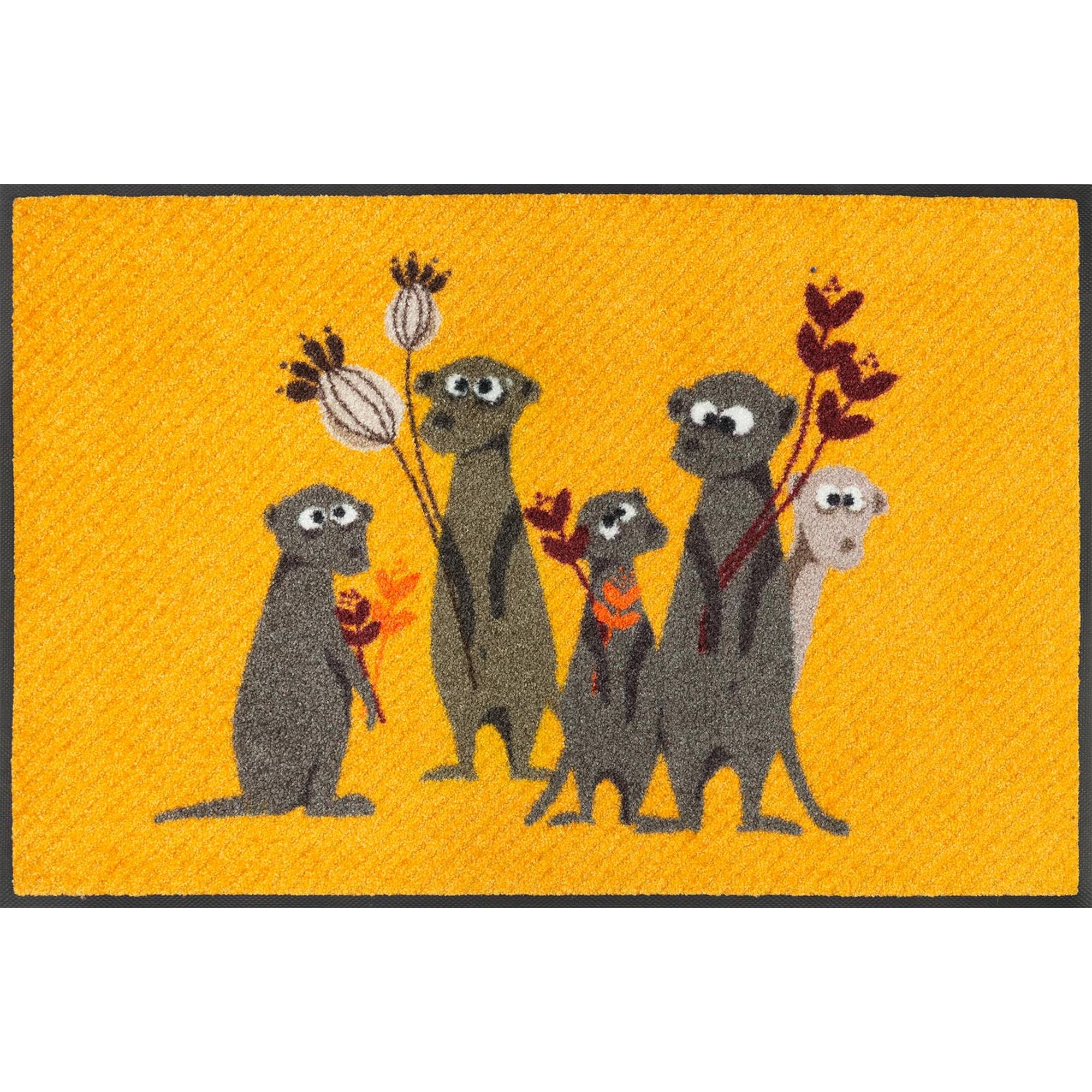 Fussmatte Erdmännchen Pepe, Bo, Paco & Co. 75 x 50 cm Schmutzfangmatte waschbar wash+dry Design