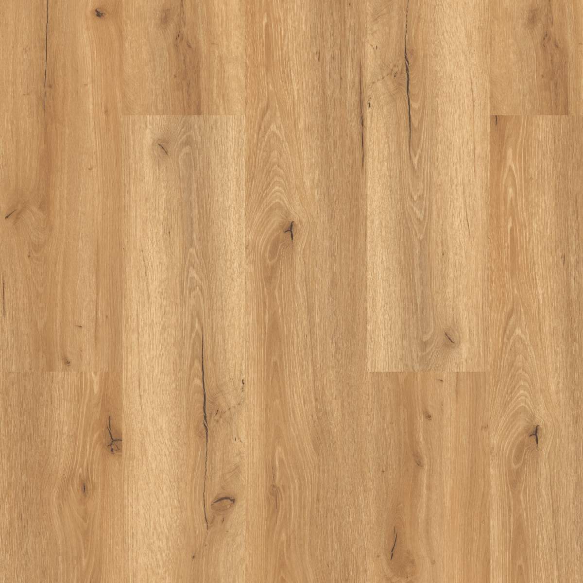 Vinylboden DESIGN 555 Wooden Styles 1524 x 2286 x 2.5 mm Klebevinyl Holz Eiche Braun NKL42