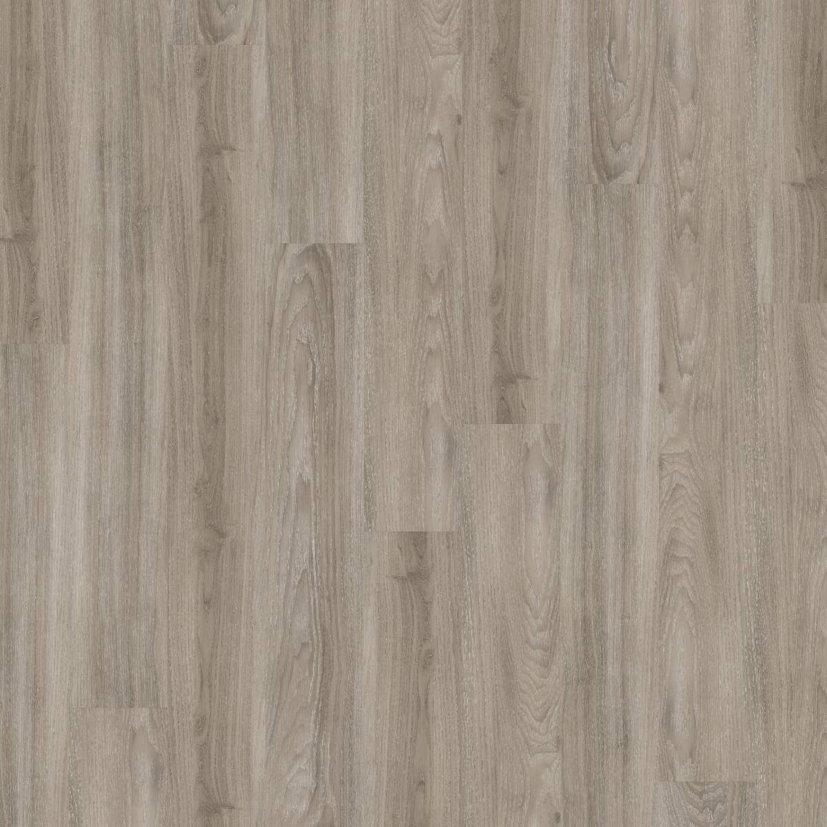 Vinylboden DESIGN 555 Dryback 1219 x 152 x 2.5 mm Klebevinyl Holzoptik Ulme Grau NKL42