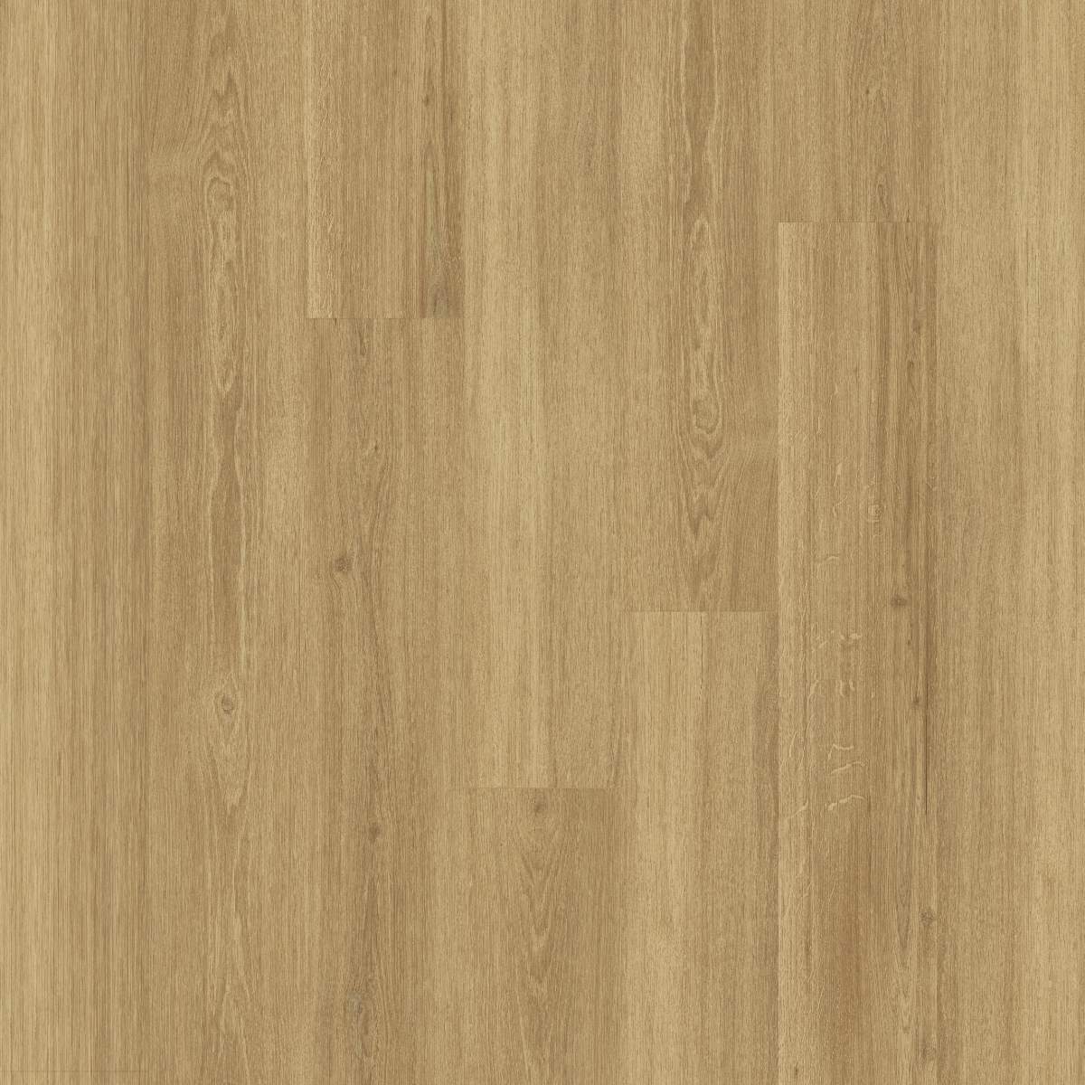 Vinylboden DESIGN 555 Dryback 1505 x 185 x 2.5 mm Klebevinyl Holzoptik Eiche Beige NKL42