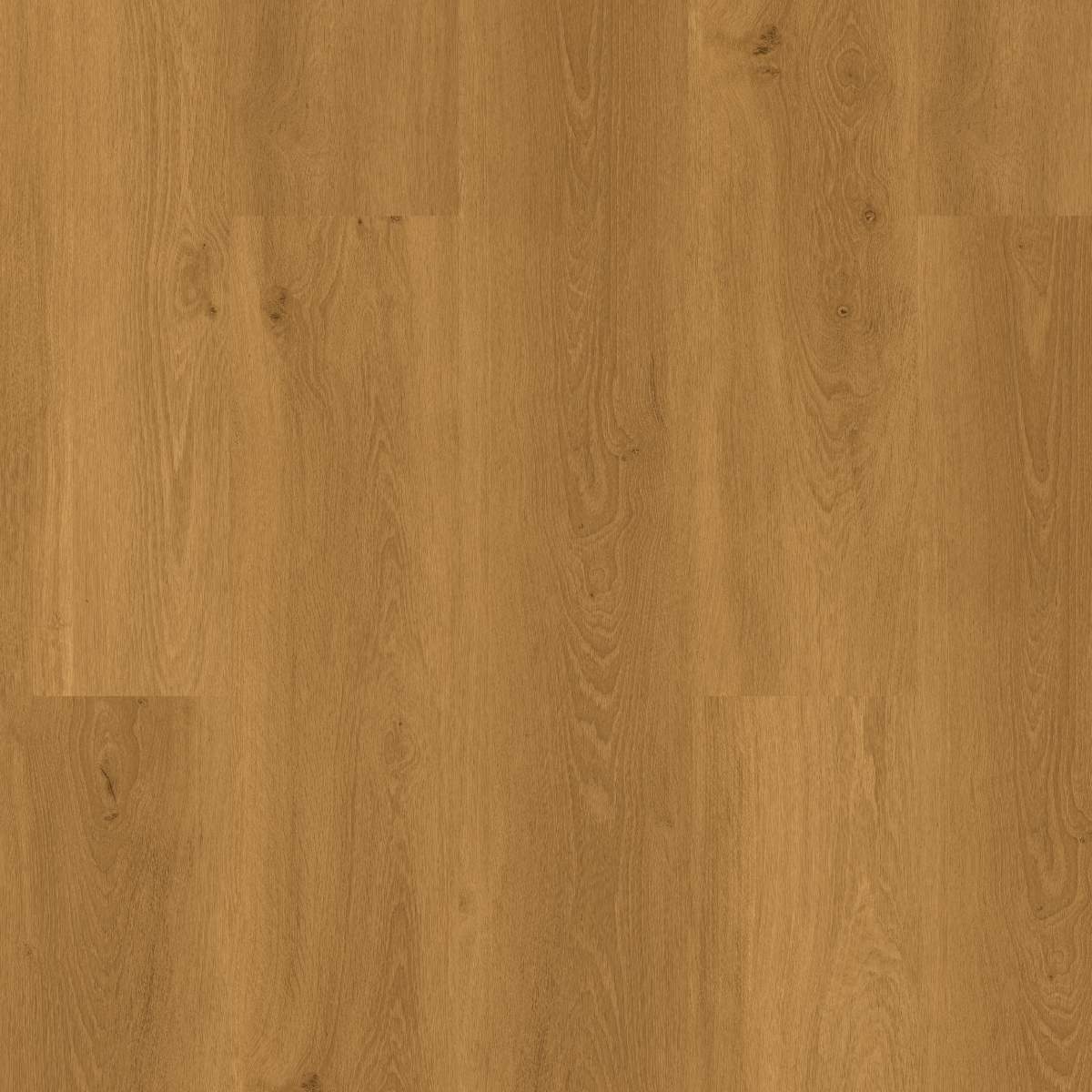 Vinylboden DESIGN 555 Wooden Styles 1524 x 2286 x 2.5 mm Klebevinyl Holz Eiche Braun NKL42