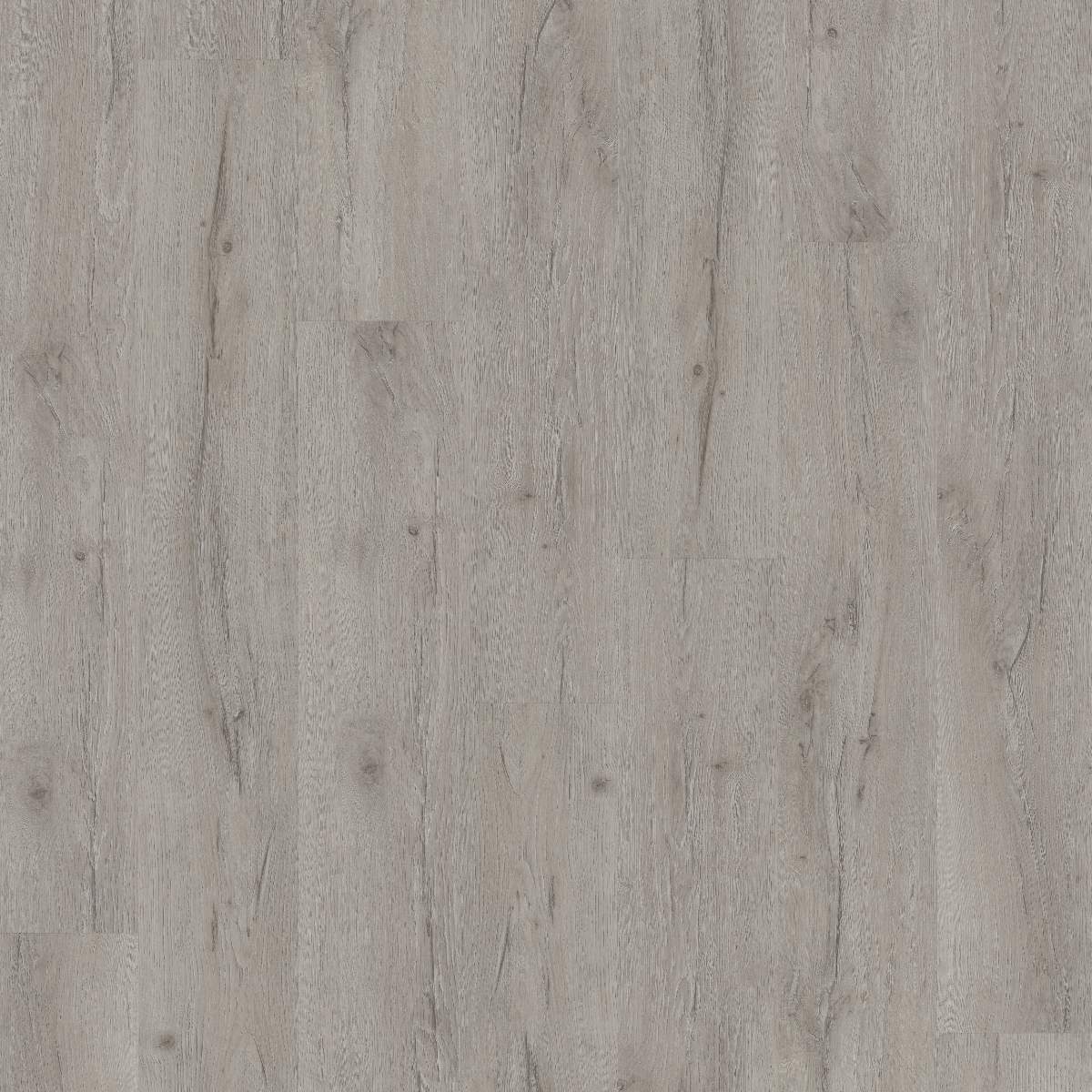 Vinylboden DESIGN 555 Dryback 1219 x 184 x 2.5 mm Klebevinyl Holzoptik Eiche Grau NKL42