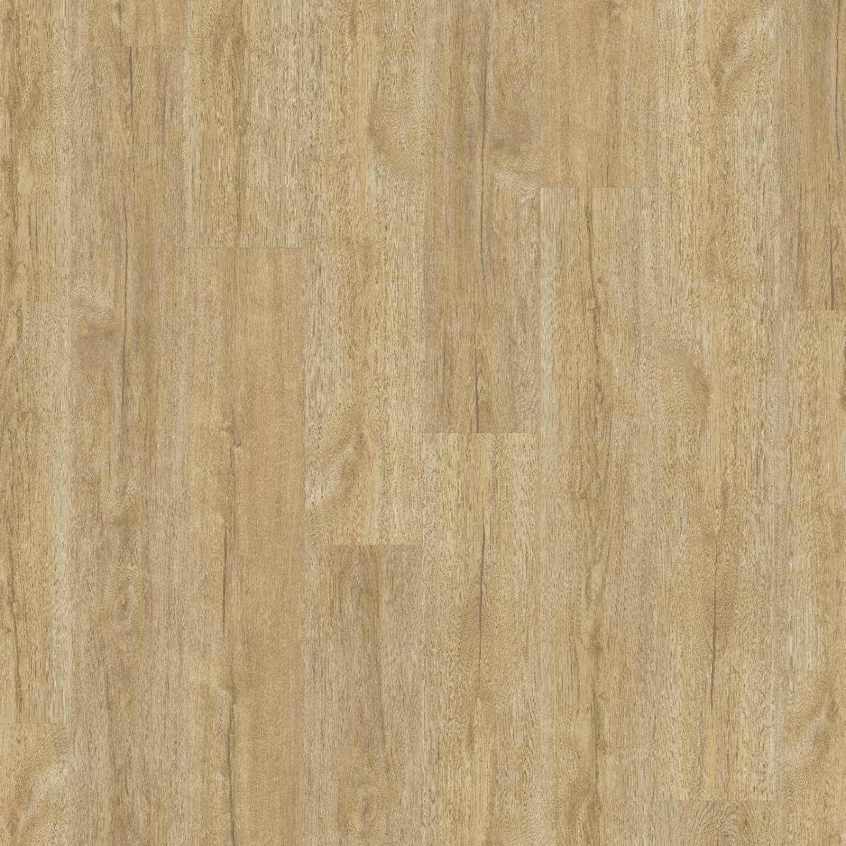 Vinylboden DESIGN 555 Dryback 1219 x 177 x 2.5 mm Klebevinyl Holzoptik Eiche Beige NKL42