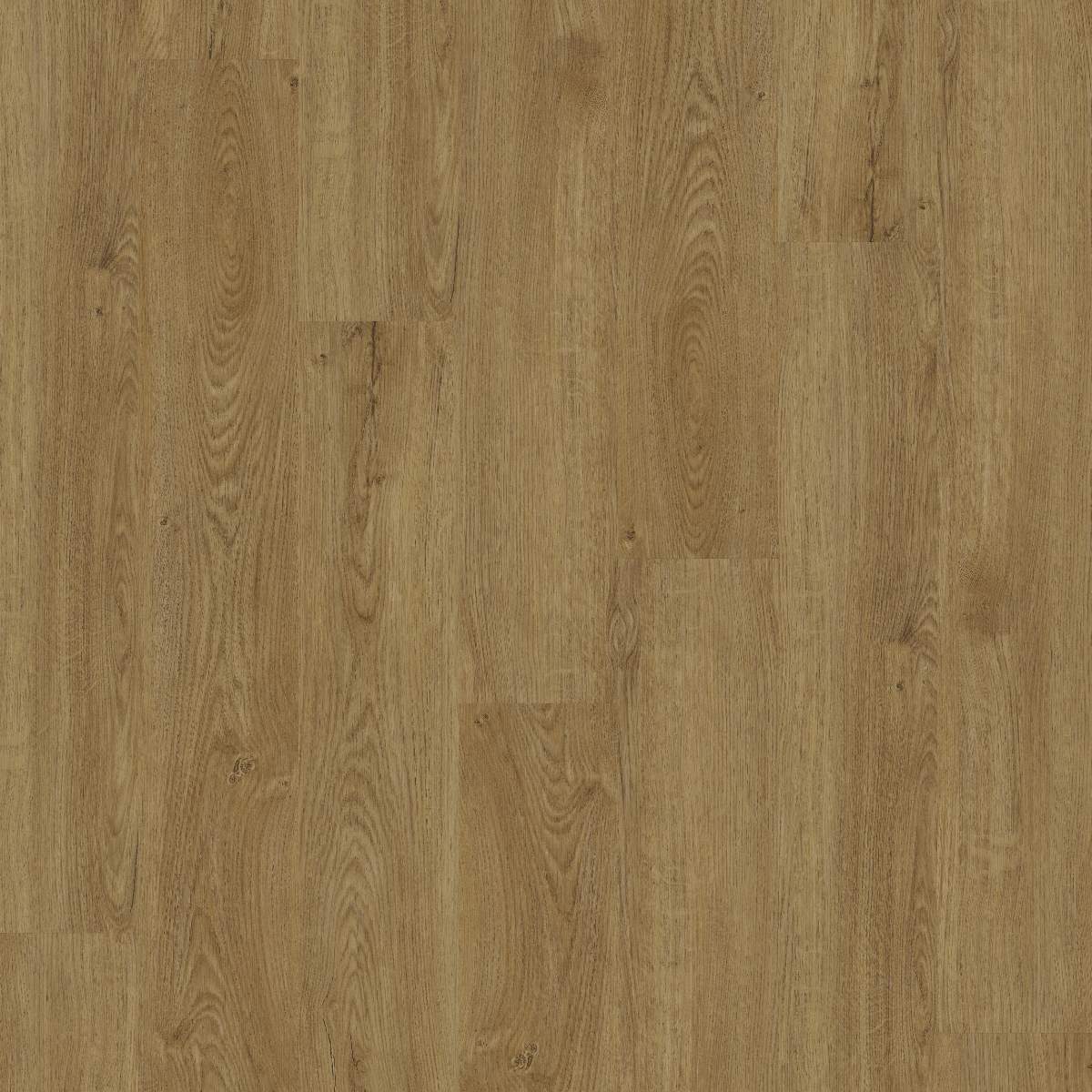 Vinylboden DESIGN 555 Dryback 1219 x 184 x 2.5 mm Klebevinyl Holzoptik Eiche Beige NKL42